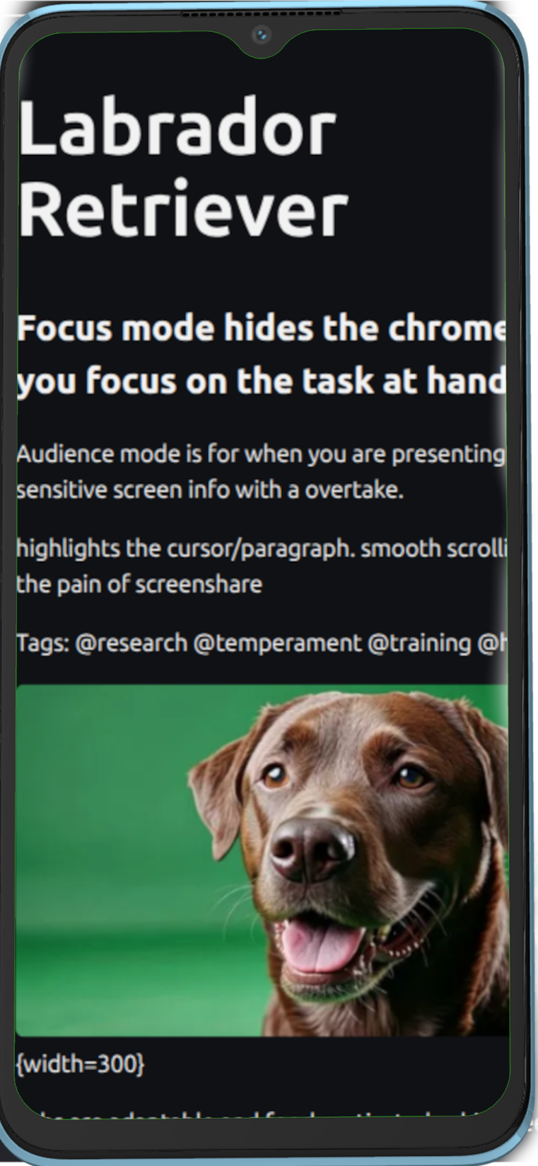 Mobile phone with notes app