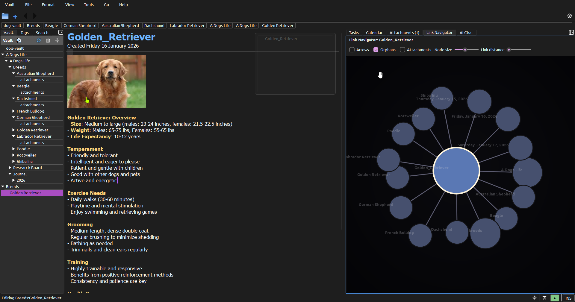 StillPoint showing left nav, article content, and a link graph