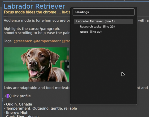 Headings panel with outline