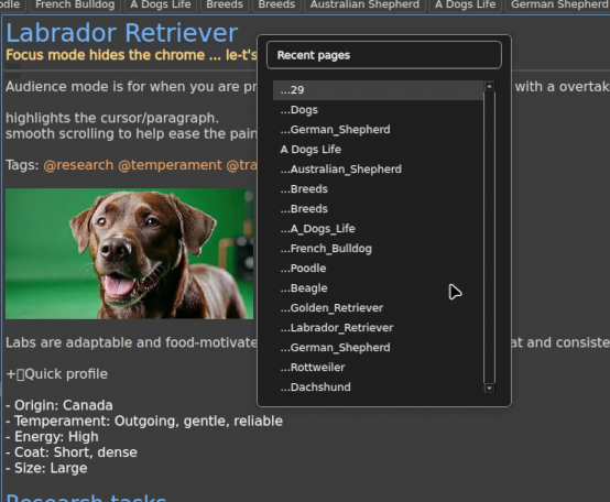 Backlinks panel with references