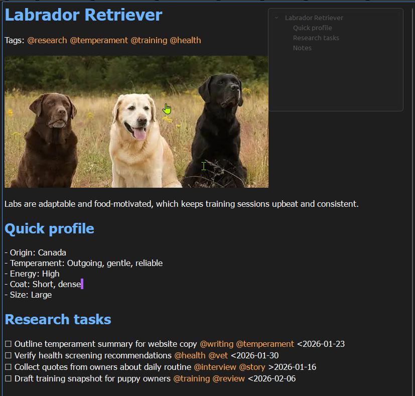 Notebook pages filled with handwriting